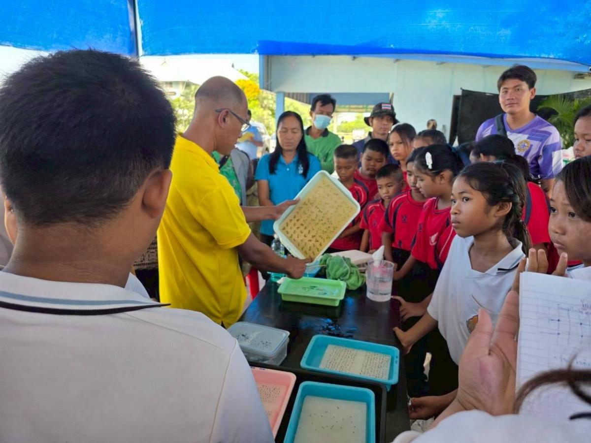 92b306ad-5e6c-4669-84d4-dc82ac9e5b33